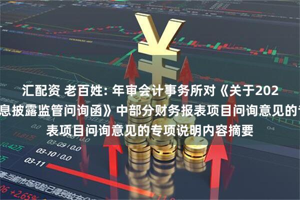汇配资 老百姓: 年审会计事务所对《关于2024年年度报告的信息披露监管问询函》中部分财务报表项目问询意见的专项说明内容摘要