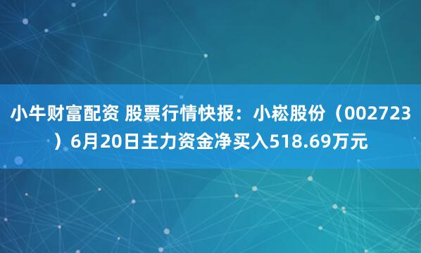 小牛财富配资 股票行情快报：小崧股份（002723）6月20日主力资金净买入518.69万元