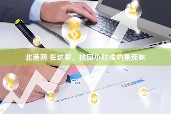 北港网 在这里，找回小时候的番茄味